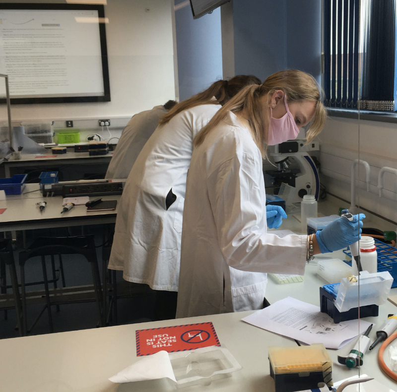 undergraduate phage hunters